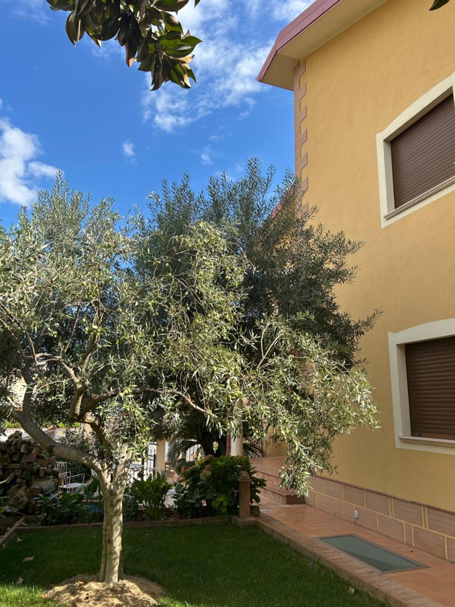 B&B Villa Maria Catanzaro Exterior photo